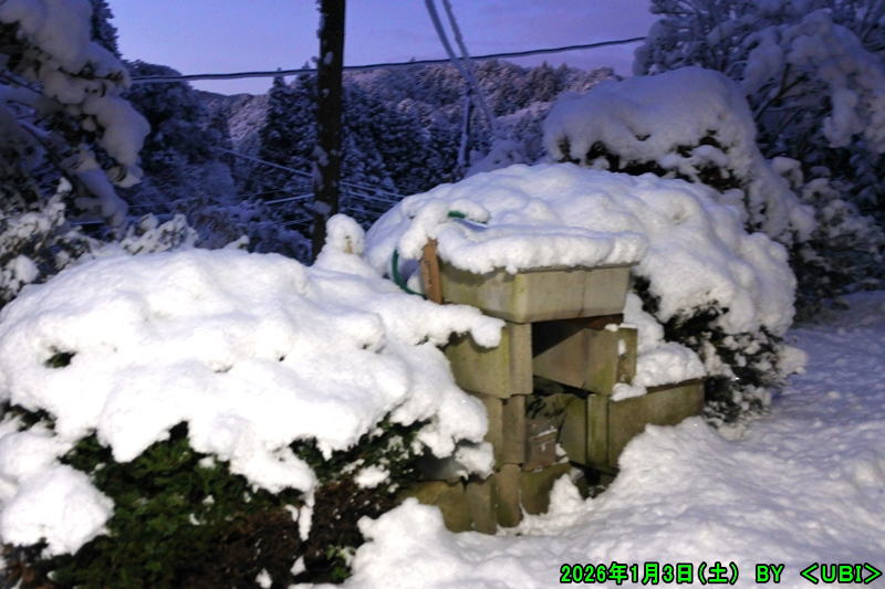 2026年1月3日（土）