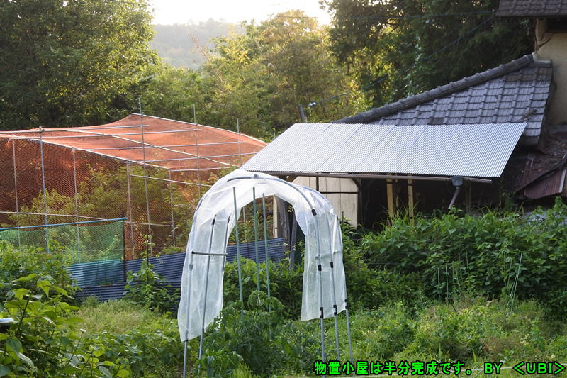 物置小屋の屋根修理